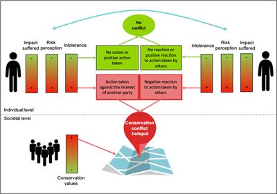 Conservation conflict hotspots: Mapping impacts, risk perception and tolerance for sustainable conservation management